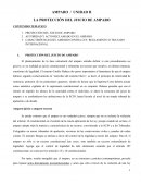 AMPARO / UNIDAD II LA PROTECCIÓN DEL JUICIO DE AMPARO
