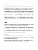 Análisis Situacional. El hogar luceros del amanecer