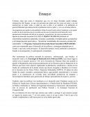 Tenemos claro que como el campesino que vive en áreas forestales puede trabajar