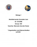 Biology I organization and herarchization act.