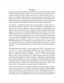 Conceptos jurídicos en "El juez"