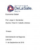 Ensayo. Administración de Negocios