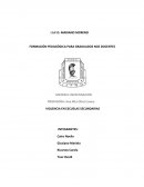 FORMACIÓN PEDAGÓGICA PARA GRADUADOS NOS DOCENTES