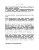 Todo comienza con la llegada de un joven de nombre Stingo, a New York, con la ambición de convertirse en un escritor, y por falta de dinero termina alquilando una pequeña habitación en casa de Brooklyn.