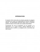 ENFERMEDADES INFECCIOSAS.Vías de penetración de los microbios