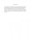 Tema de la Historia de los derechos humanos.