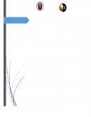 Clasificación de las reacciones químicas . Oxidación del hierro