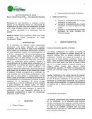 RECTIFICADORES DE ONDA