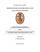Plan de mejora de estrategia sanitaria nacional - Perú
