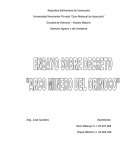 Derecho Agrario y del Ambiente