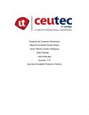 Proyecto de Comercio Electrónico. Métodos de Pago etc