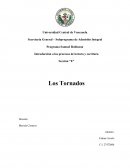 Introducción a los procesos de lectura y escritura Sección “E” Los Tornados