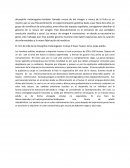 El ciclo de vida de la drosophila melanogaster incluye 4 fases: huevo, larva, pupa adulto.