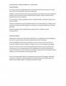 APLICACIÓN DE LA TEORÍA CIENTÍFICA EN ``CRAZY CHIPS´´