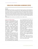 VIRUS DEL PAPILOMA HUMANO (VPH)ORGANIZACIÓN DEL GENOMA