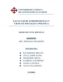DERECHO CIVIL BIENES II. Página 1