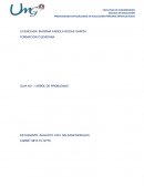 Guia sobre El Arbol de Problemas.