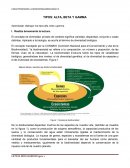 Diversidad, Alfa, Beta y Gamma