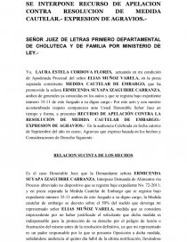 SEÑOR JUEZ DE LETRAS PRIMERO DEPARTAMENTAL DE CHOLUTECA Y DE FAMILIA POR MINISTERIO DE LEY.-. Página 1