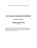 LOS NUEVOS RUMBOS DE LA DIDACTICA.