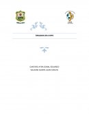 ÓRGANOS HUMANOS EN CHIPS PROMETEN REEMPLAZAR LOS ENSAYOS CON ANIMALES