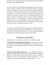 SEÑOR JUEZ DE LETRAS PRIMERO DEPARTAMENTAL DE CHOLUTECA Y DE FAMILIA POR MINISTERIO DE LEY.-. Página 7