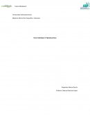 Tarea individual 4: Fijando precios.