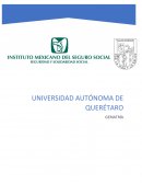 Como es de saberse, el deterioro cognitivo es un tema de suma importancia dentro del campo de la geriatría, en el presente artículo, se hizo una revisión acerca del concepto de “Deterioro Cognitivo leve”