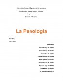 La Penologia.