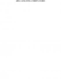 SEÑOR JUEZ DE LETRAS PRIMERO DEPARTAMENTAL DE CHOLUTECA Y DE FAMILIA POR MINISTERIO DE LEY.-. Página 10