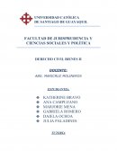 DERECHO CIVIL BIENES II