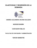 ELASTICIDAD Y REGRESIÓN DE LA DEMANDA.
