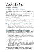 Estructura de Capital: Estructura de capital establecida como meta