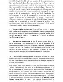 SEÑOR JUEZ DE LETRAS PRIMERO DEPARTAMENTAL DE CHOLUTECA Y DE FAMILIA POR MINISTERIO DE LEY.-. Página 3