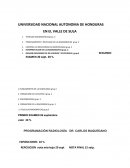 IMAGEN RADIOGRAFICA DE LESIONES Y PATOLOGIAS