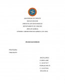 DEPARTAMENTO DE CIENCIAS ÁREA DE QUÍMICA