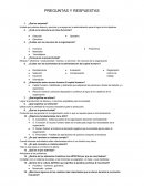 Capital humano. PREGUNTAS Y RESPUESTAS