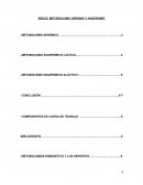 Metabolismo Aerobico y Anaerobico.