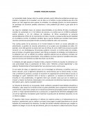 HAMBRE: PROBLEMA MUNDIAL