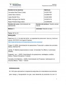 Propuesta de solucion flamineta