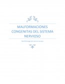 MALFORMACIONES DEL SISTEMA NERVIOSO.