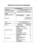 REGISTRO DE PROYECTO INTEGRADOR