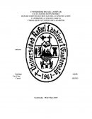 ¿Existe Vulnerabilidad de los ancianos y cuidadores familiares?