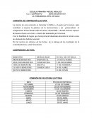 COMISION DE LECTO-ESCRITURA.