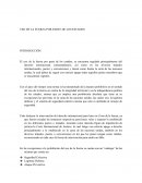 USO DE LA FUERZA EN LOS ESTADOS