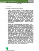 Fertilizacion y nutricion de suelo para el cultivo de palto organico