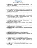Solo es para entrar a la pagina.