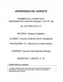 PRÁCTICA: Analisis Cualitativo