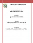 Derechos e interculturalidad.