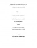 Análisis y Diagnostico de la compañía DRYPERS ANDINA S.A.